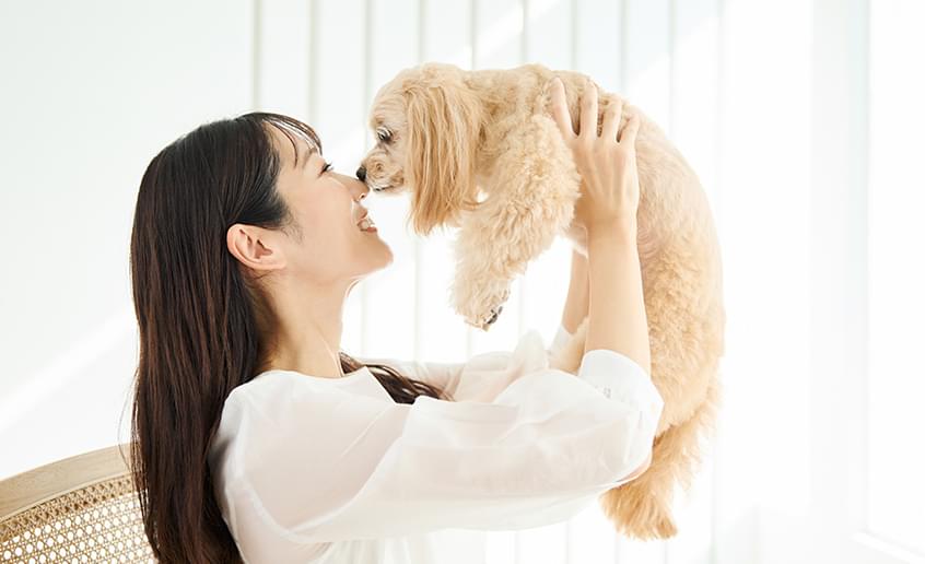 DOGs'PLACEについて ABOUT