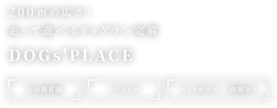 200㎡の広さ！走って遊べるドッグラン完備 DOGs'PLACE