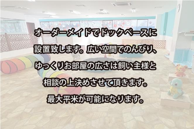 ウルトラファースト Ultra First