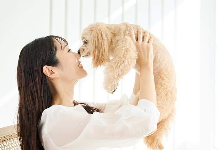 DOGs'PLACEについて ABOUT