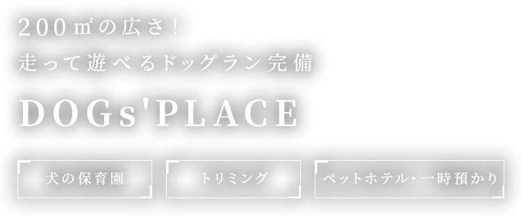200㎡の広さ！走って遊べるドッグラン完備 DOGs'PLACE