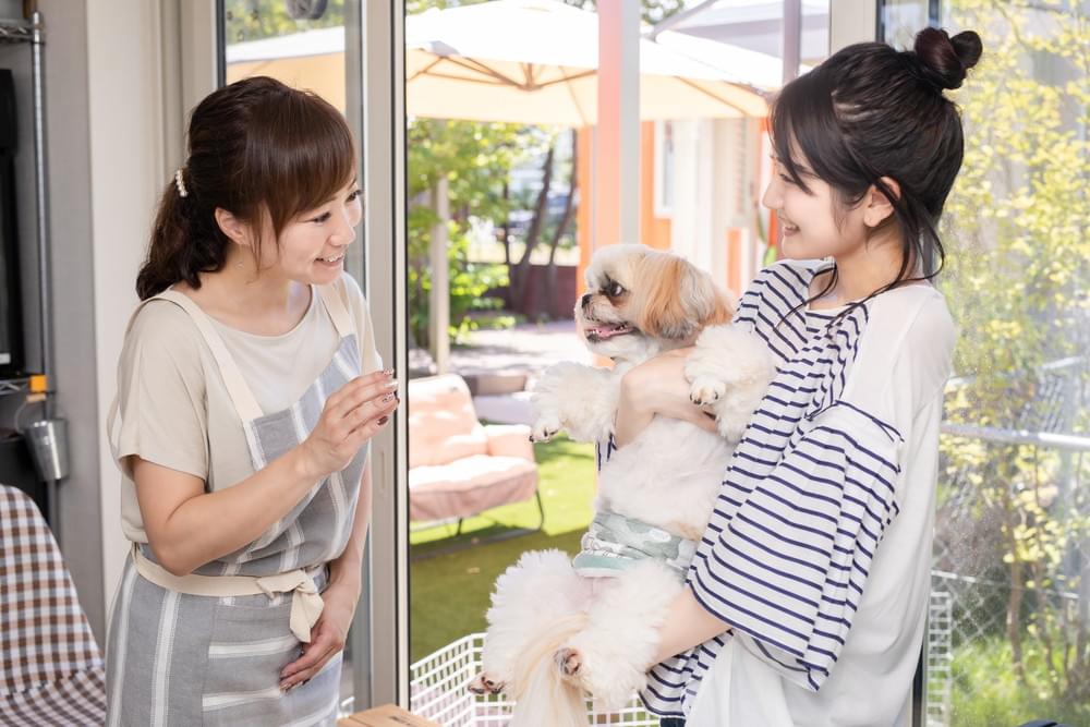 見学当日